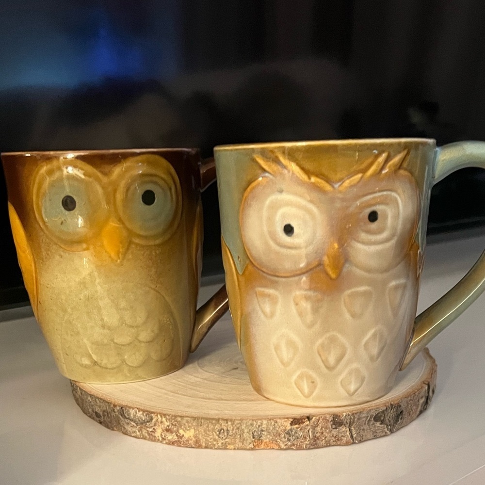 🍎GIBSON Elite Owl city 17oz Mugs set of 2